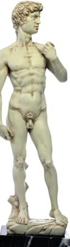 David by Michelangelo, 1501-1504 Galleria dell'Acc